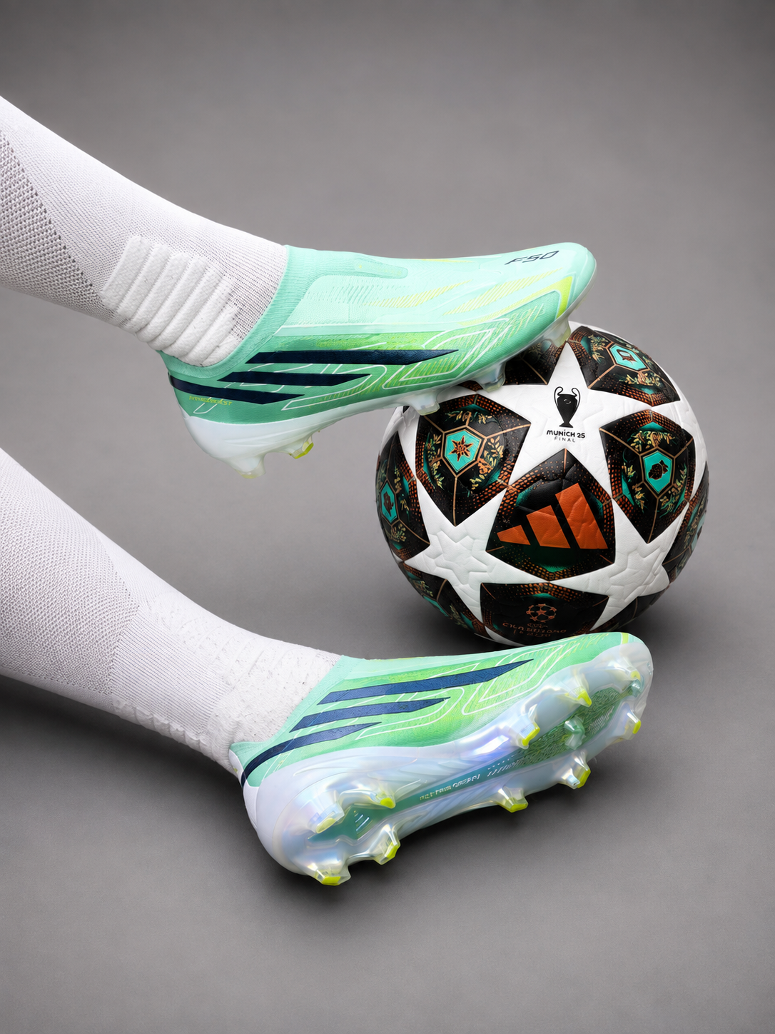 GUAYO F 50 TACHE ENTERO
